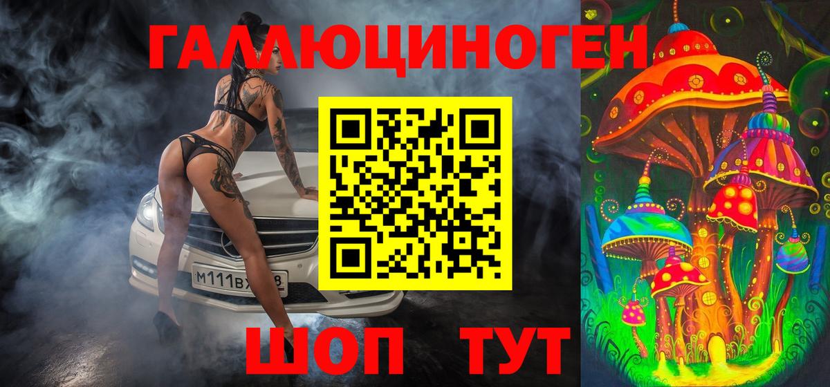 Дубна  Псилоцибиновые грибы Psilocybe  Вход с VPN 